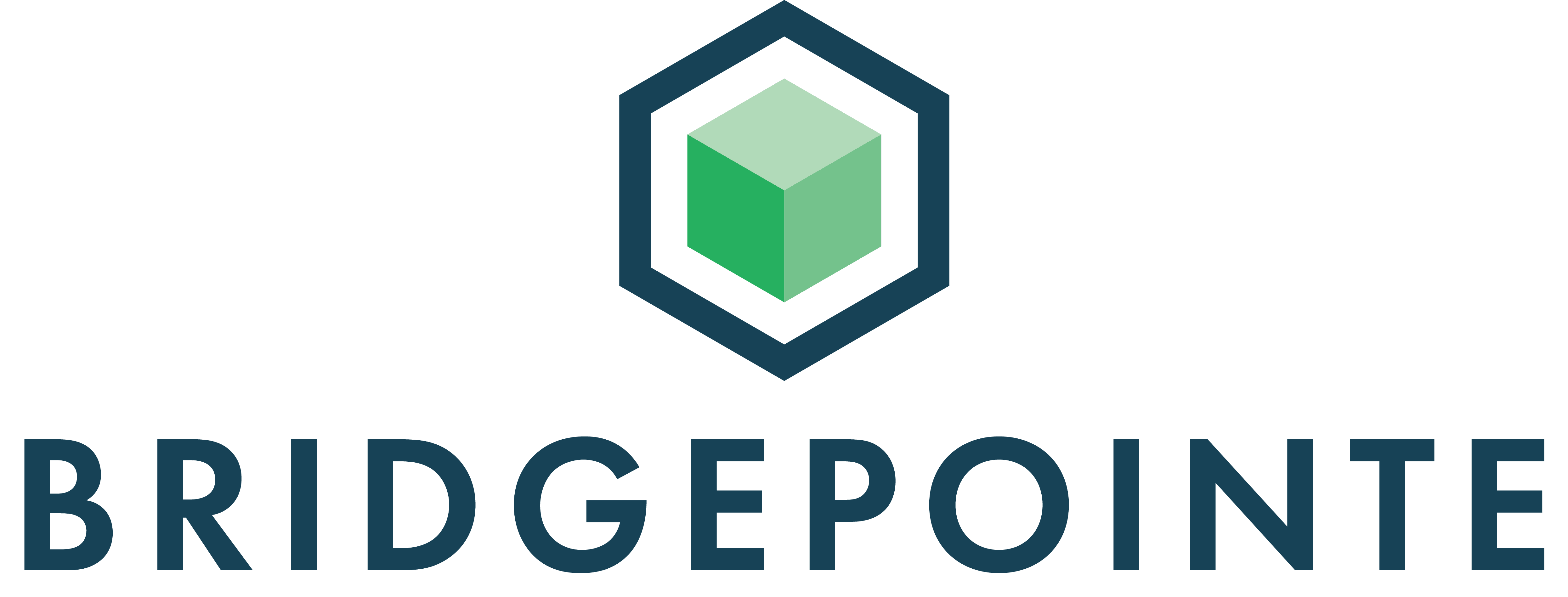 265002633065737e5191bb67fb802301.Bridgepionte-Technologies-Reno-USA-Logo