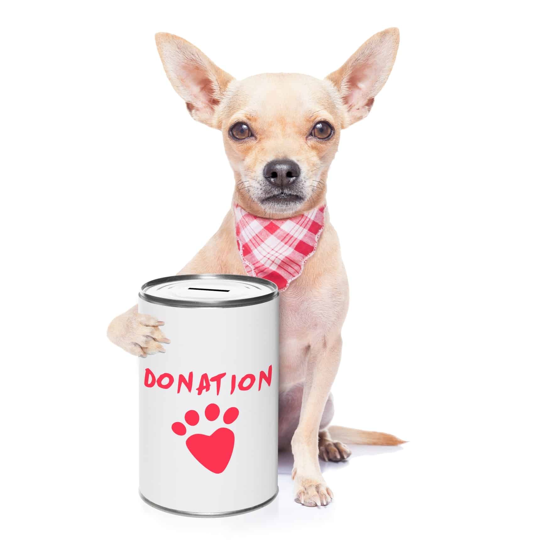 How Nonprofits Can Receive Cash Donations For Referring An Organization